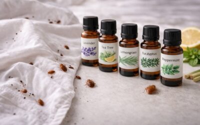 Huiles essentielles contre les punaises de lit : nos meilleures solutions
