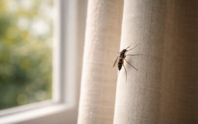 Répulsif anti moustique : les solutions efficaces pour les éloigner