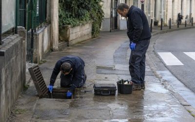 Dératisation : obligations des mairies