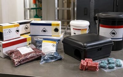 Raticides : choisir le meilleur poison pour éliminer les rats
