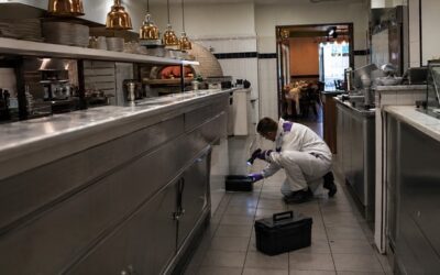 Dératisation restaurant : obligations légales et solutions