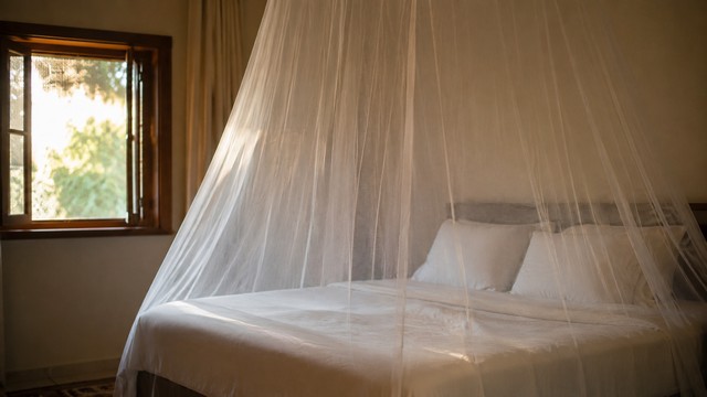 Moustiques dans la chambre